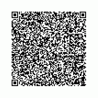 vCard 78787833375