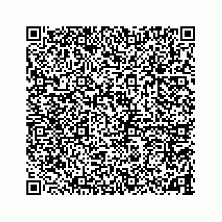 vCard 78787833376