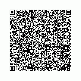 vCard 78787833379