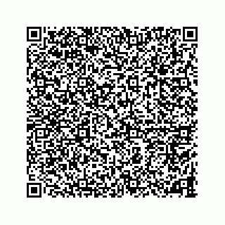 vCard 78787833380