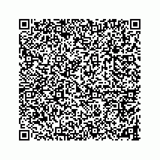 vCard 78787833381