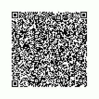 vCard 78787833382