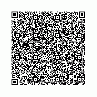 vCard 78787833384