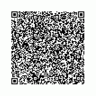 vCard 78787833385