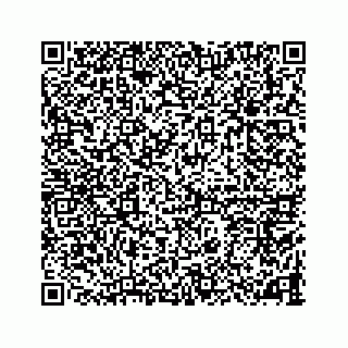 vCard 78787833386