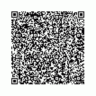 vCard 78787833387