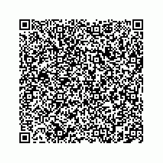 vCard 78787833389