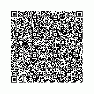 vCard 78787833391
