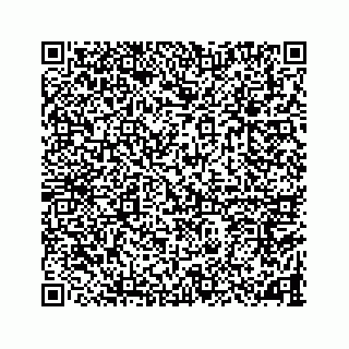 vCard 78787833393