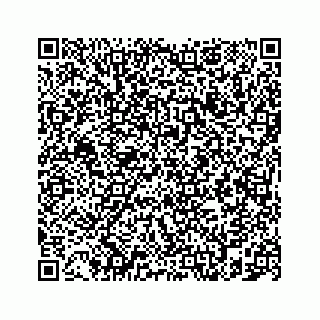 vCard 78787833395
