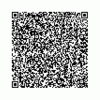 vCard 78787833403