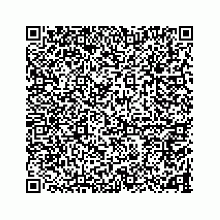 vCard 78787833408