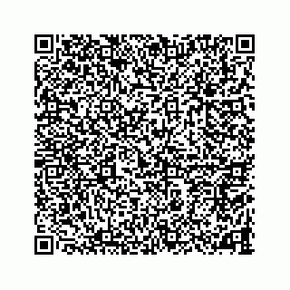 vCard 78787833409