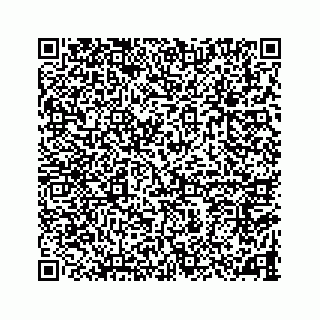 vCard 78787833411