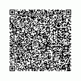 vCard 78787833413