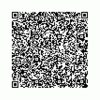 vCard 78787833419