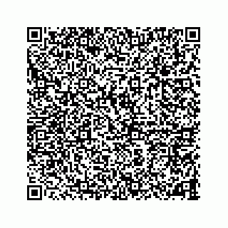 vCard 78787833481