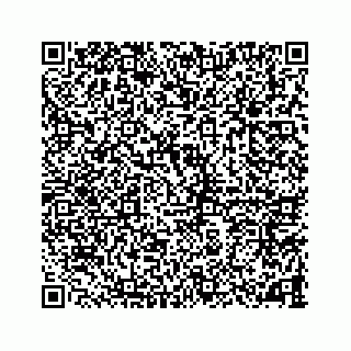 vCard 78787833494