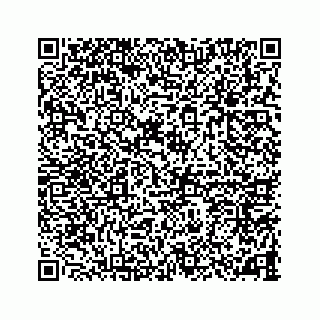 vCard 78787833496