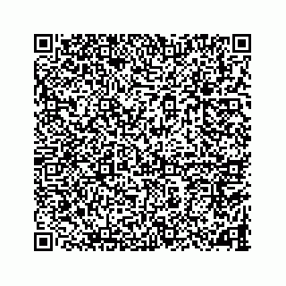 vCard 78787833497