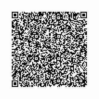 vCard 78787833499