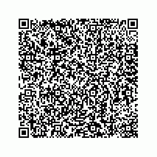 vCard 78787839131