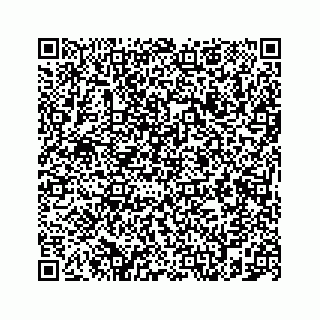 vCard 78787839153