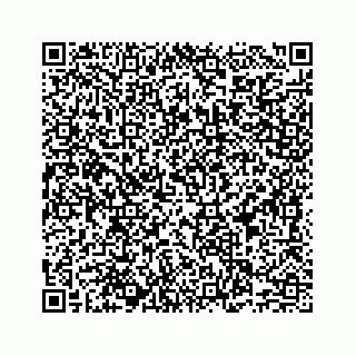 vCard 78787839207