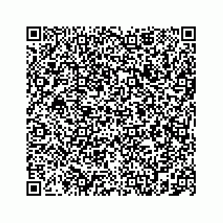 vCard 78787839313
