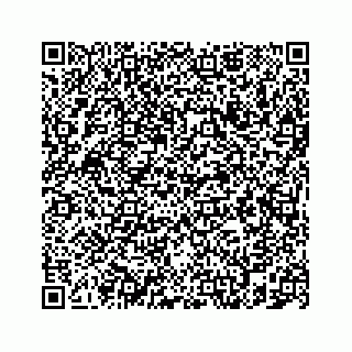 vCard 78787839319