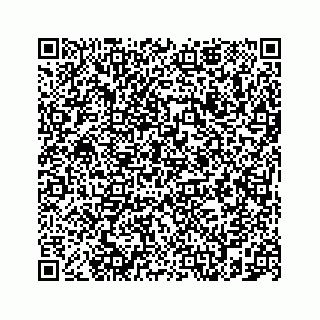 vCard 78787839331