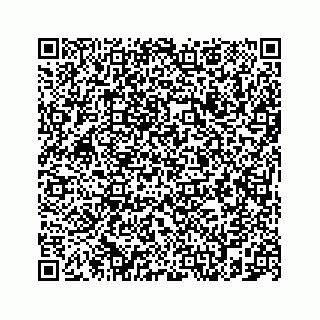 vCard 78787839333