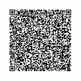 vCard 78787839334