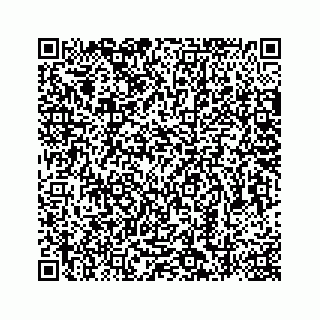 vCard 78787839337