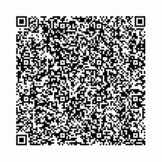 vCard 78792295005