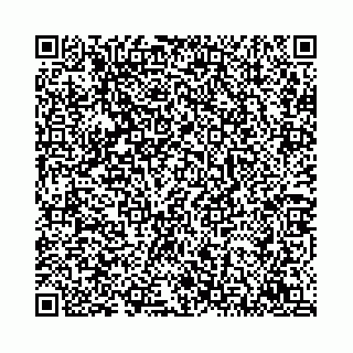 vCard 78792295009