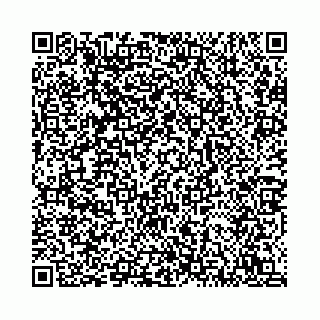 vCard 78792295040