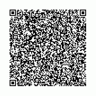 vCard 78792295041