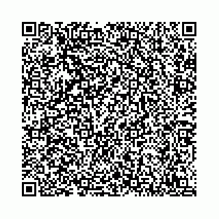 vCard 78792295111