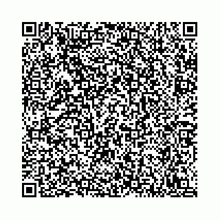 vCard 78792295133