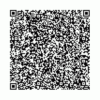 vCard 78792295138