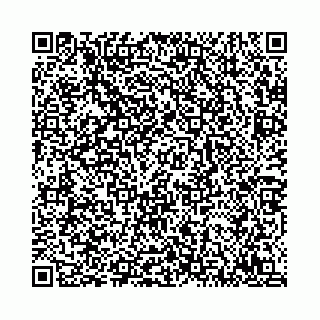 vCard 78792295139