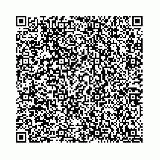 vCard 78792295155