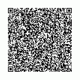 vCard 78792295163