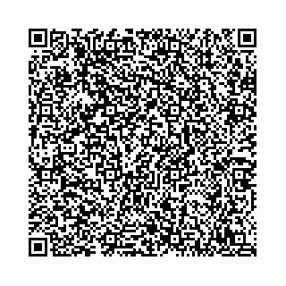 vCard 78792295181