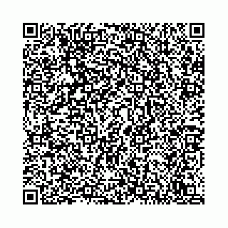 vCard 78792295205