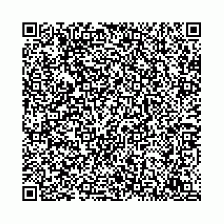 vCard 78792295209