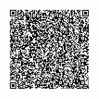 vCard 78792295231