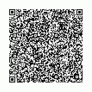 vCard 78792295232