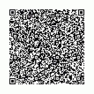 vCard 78792295233